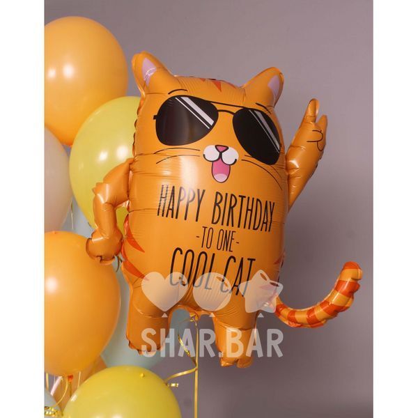 Крутий кіт, фігура фольгована з гелієм cool_cat фото